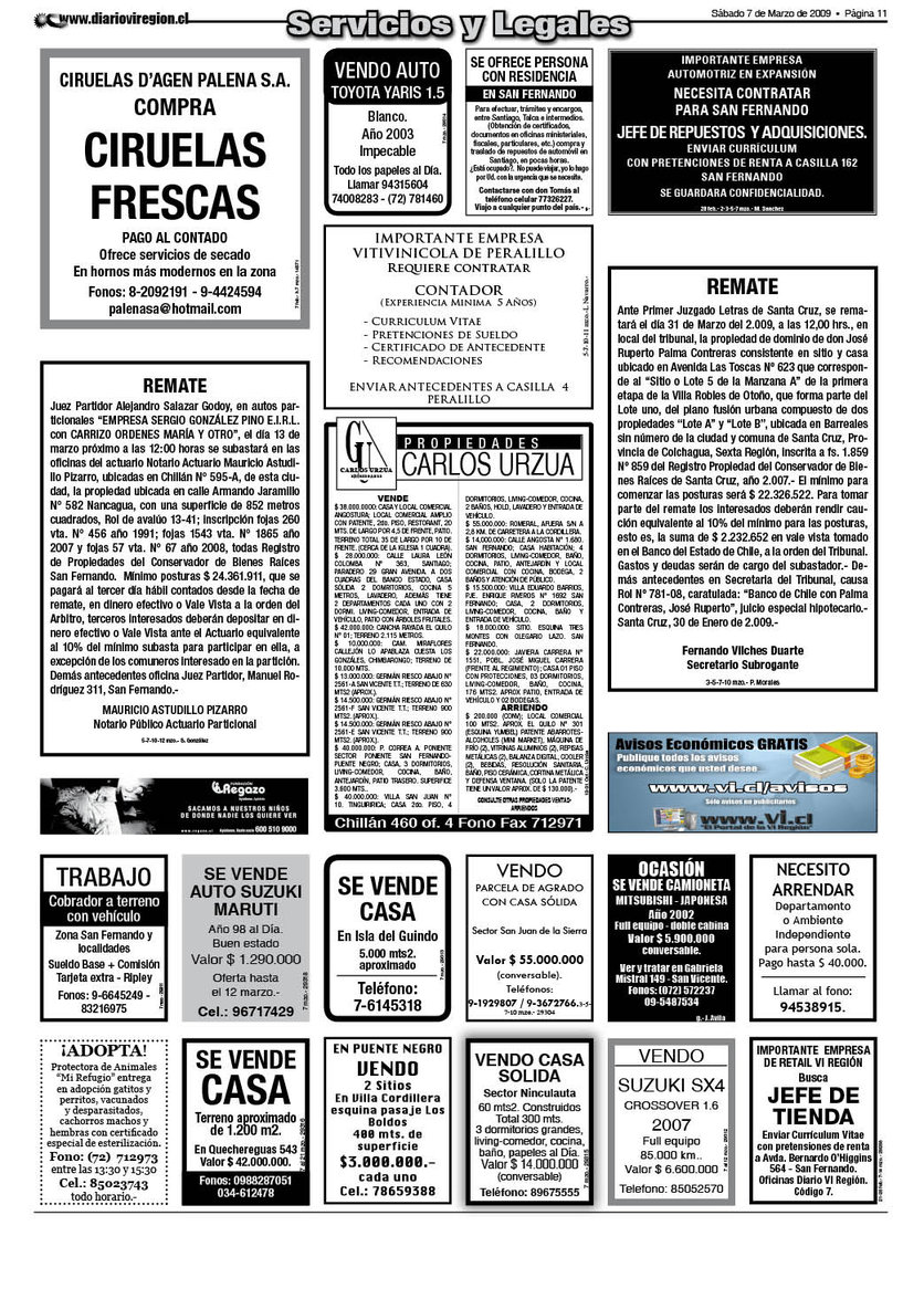 pag11.jpg