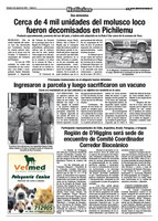 pag8.jpg