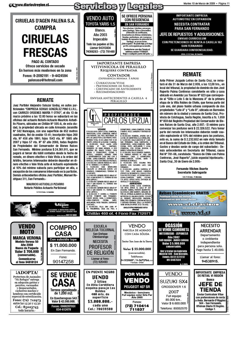 pag11.jpg