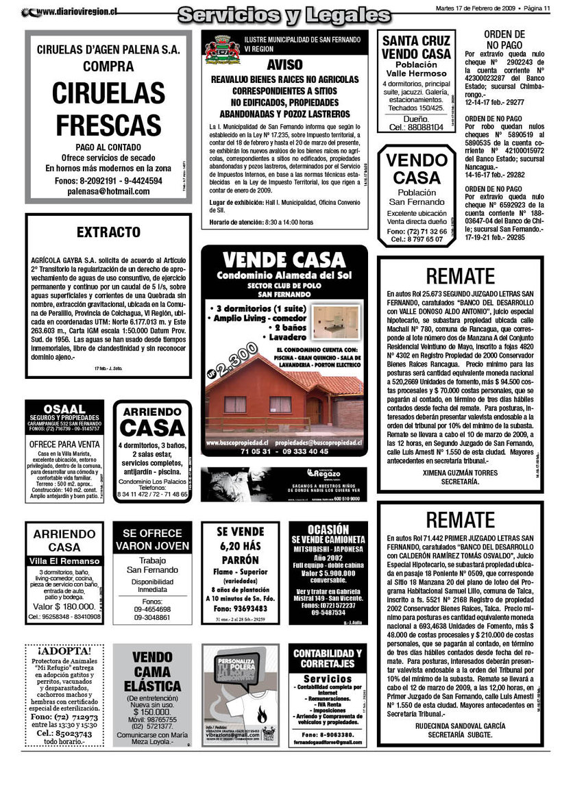 pag11.jpg