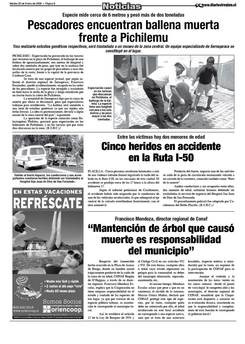 pag8.jpg