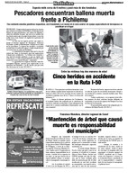 pag8.jpg