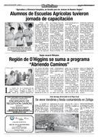 pag4.jpg